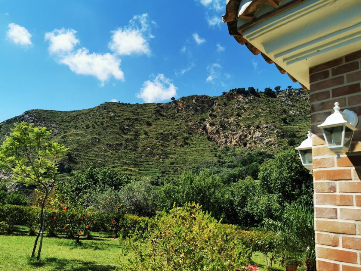 Il Mandorlo Villa อามันเตีย ภายนอก รูปภาพ