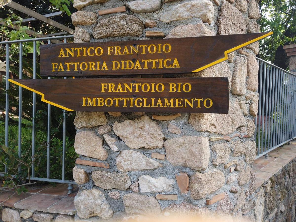 Il Mandorlo Villa อามันเตีย ภายนอก รูปภาพ