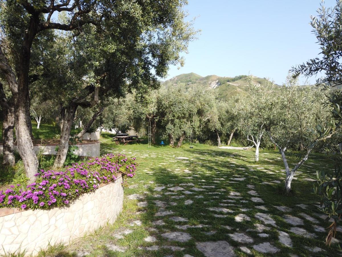 Il Mandorlo Villa อามันเตีย ภายนอก รูปภาพ