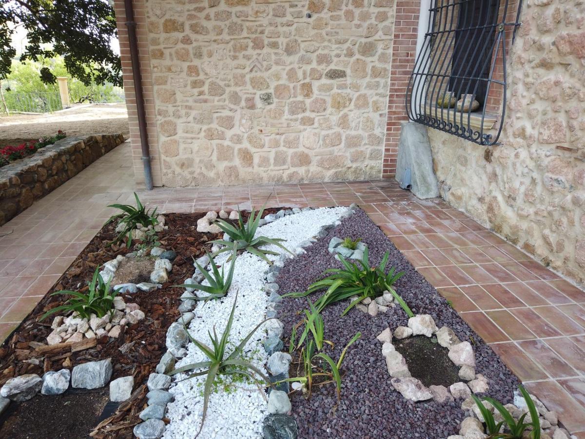 Il Mandorlo Villa อามันเตีย ภายนอก รูปภาพ