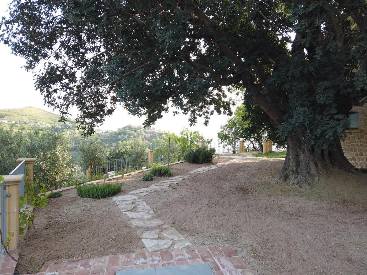 Il Mandorlo Villa อามันเตีย ภายนอก รูปภาพ