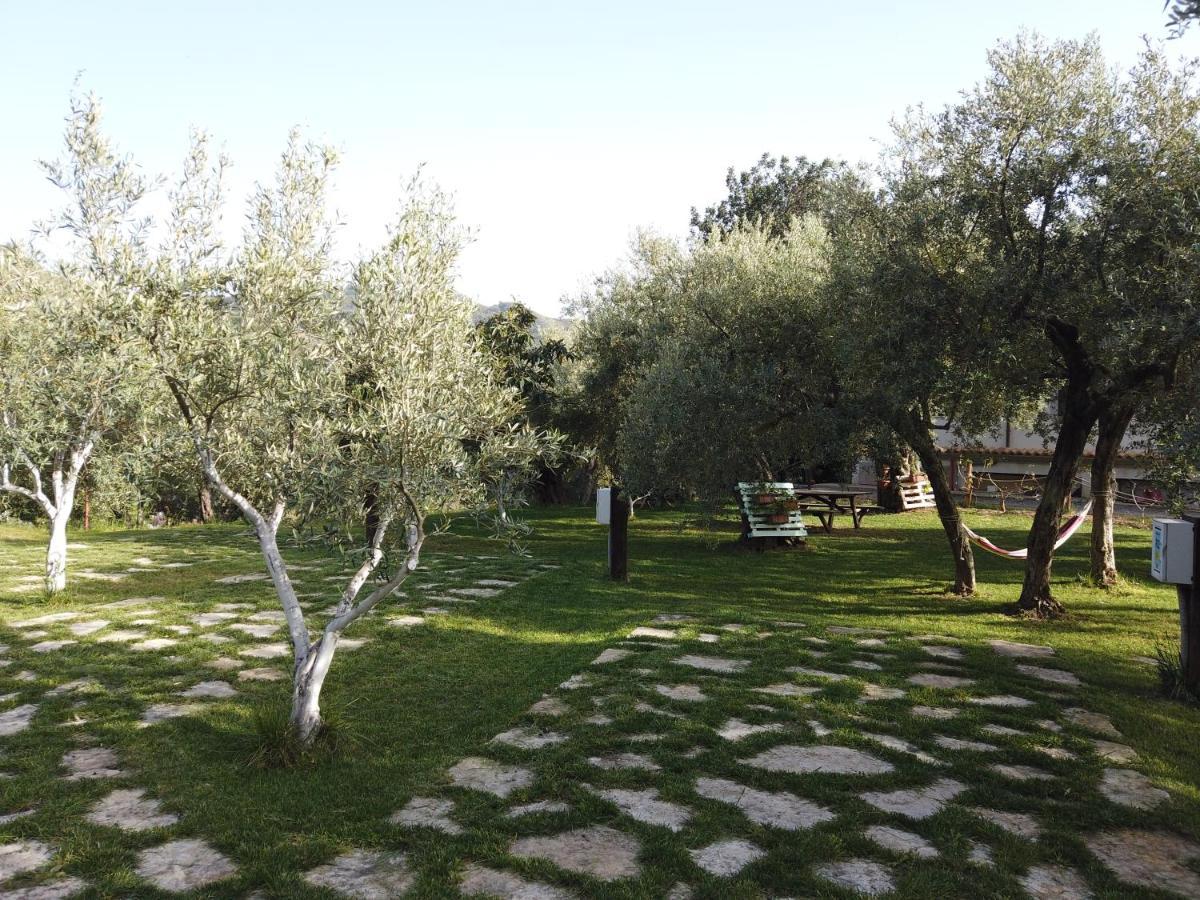 Il Mandorlo Villa อามันเตีย ภายนอก รูปภาพ